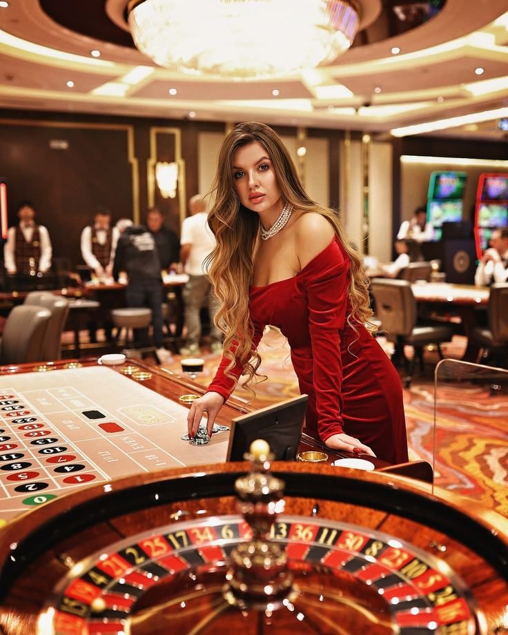 9977bet
